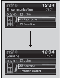 Options pendant un appel