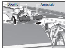 Lampes de clignotants avant : 21 W (ambre)