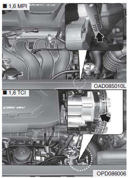 Numéro du moteur