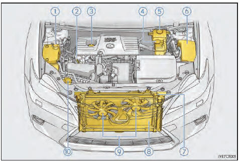 Compartiment moteur